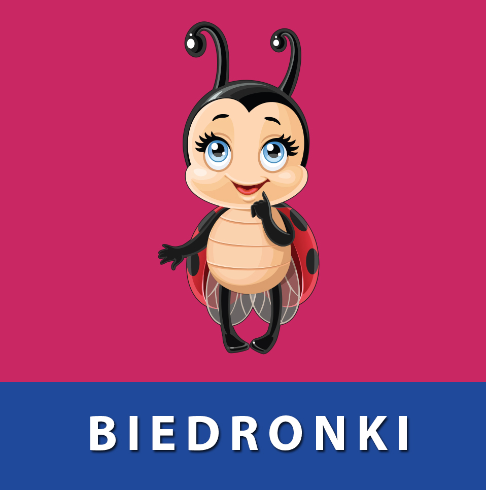 hiperłącze kafelek grupa biedronki